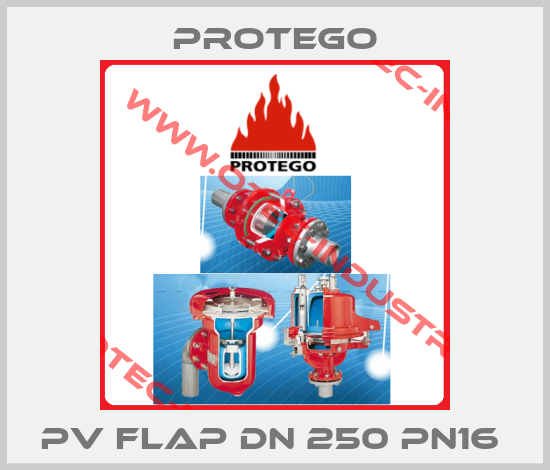 PV Flap DN 250 PN16 -big