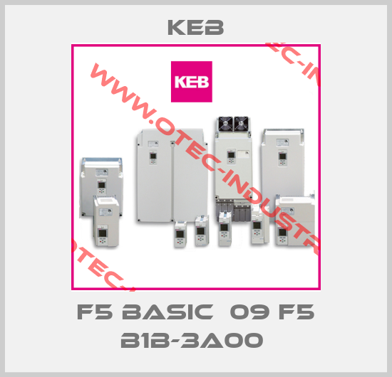 F5 BASIC  09 F5 B1B-3A00 -big