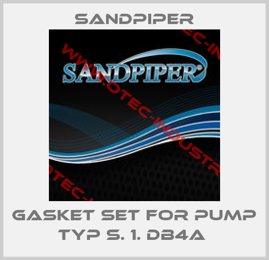GASKET SET FOR PUMP TYP S. 1. DB4A -big