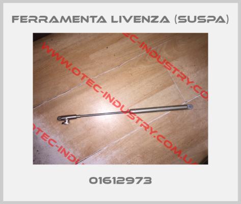 16-1 018 12973 120N amortiguador de gas Ferramenta Livenza (Suspa)