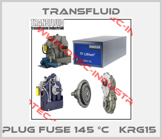 PLUG FUSE 145 °C   KRG15 -big