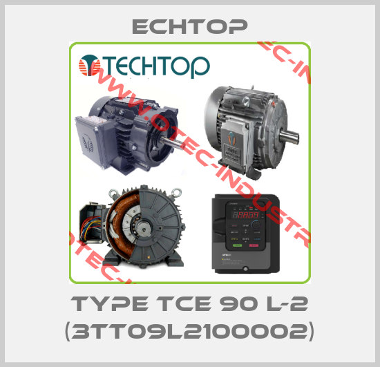 Type TCE 90 L-2 (3TT09L2100002)-big
