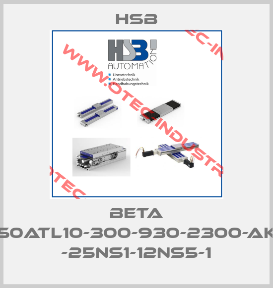 Beta 110-ZSS-50ATL10-300-930-2300-AK-AZ2-GX -25NS1-12NS5-1-big