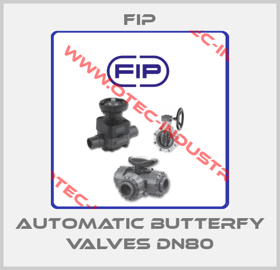 Automatic butterfy valves DN80-big