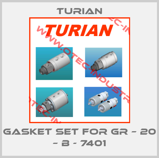 Gasket set for GR – 20 – B - 7401-big