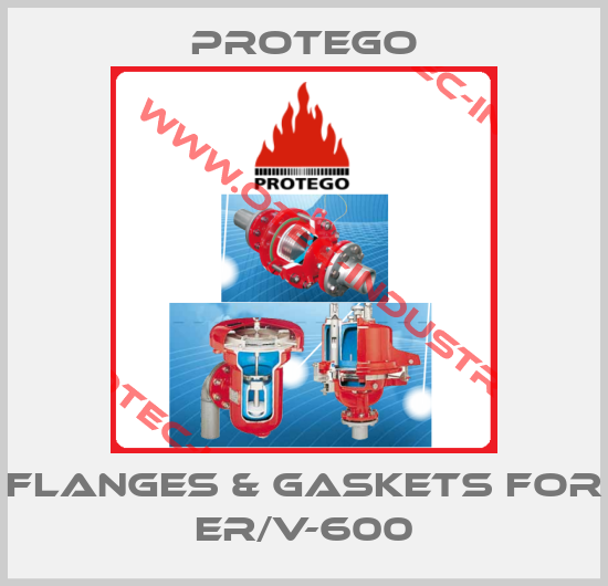 FLANGES & GASKETS for   ER/V-600-big