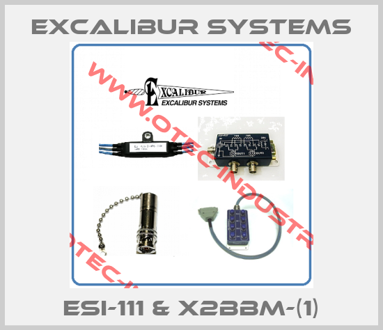 ESI-111 & X2BBM-(1)-big