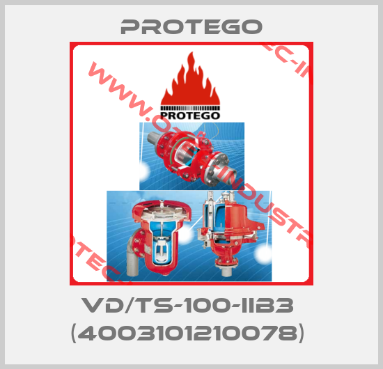 VD/TS-100-IIB3  (4003101210078) -big