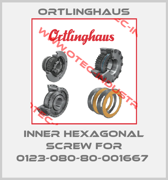 Inner hexagonal Screw for 0123-080-80-001667 -big