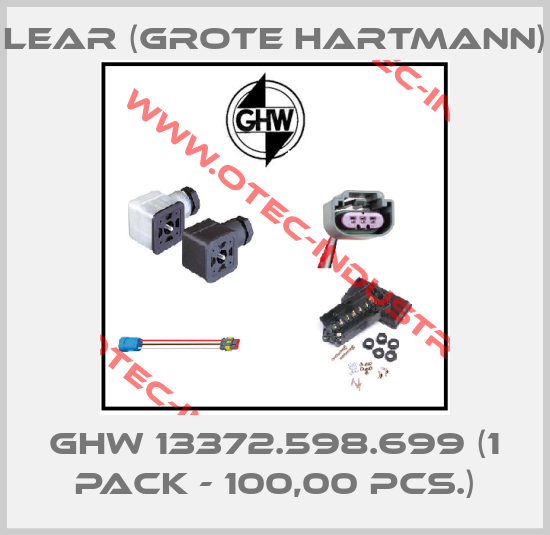 GHW 13372.598.699 (1 pack - 100,00 pcs.)-big