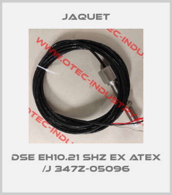 DSE EH10.21 SHZ Ex ATEX /J 347Z-05096-big